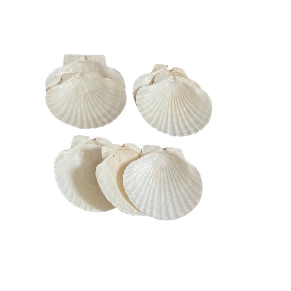 Natural Scallop Clam Shell Appetizer Snack‎ Plates, Set Of 7